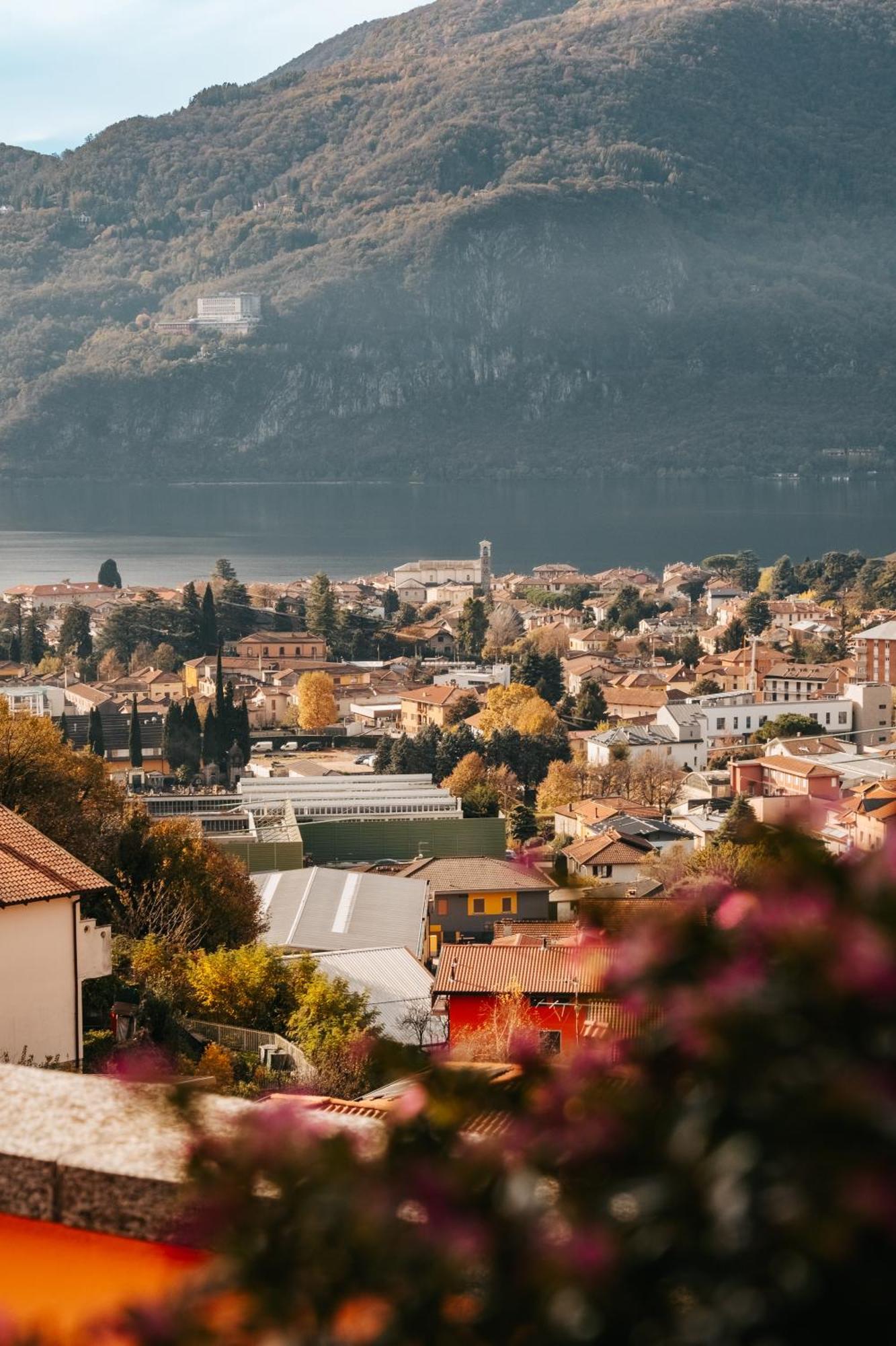 Larius Apartment - Como Lake View Mandello del Lario Eksteriør billede